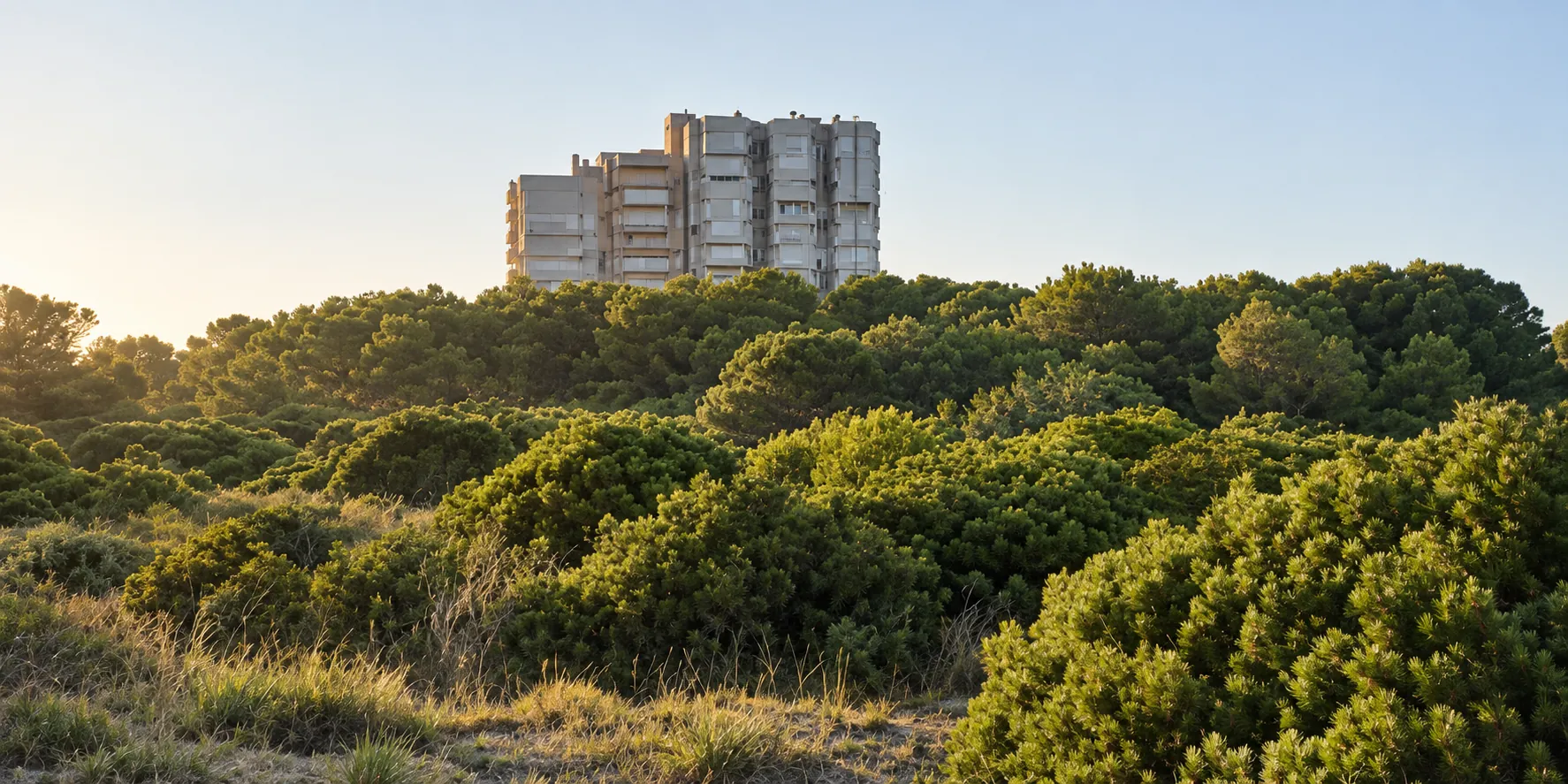El edificio, Penthouse en la Albufera Valencia