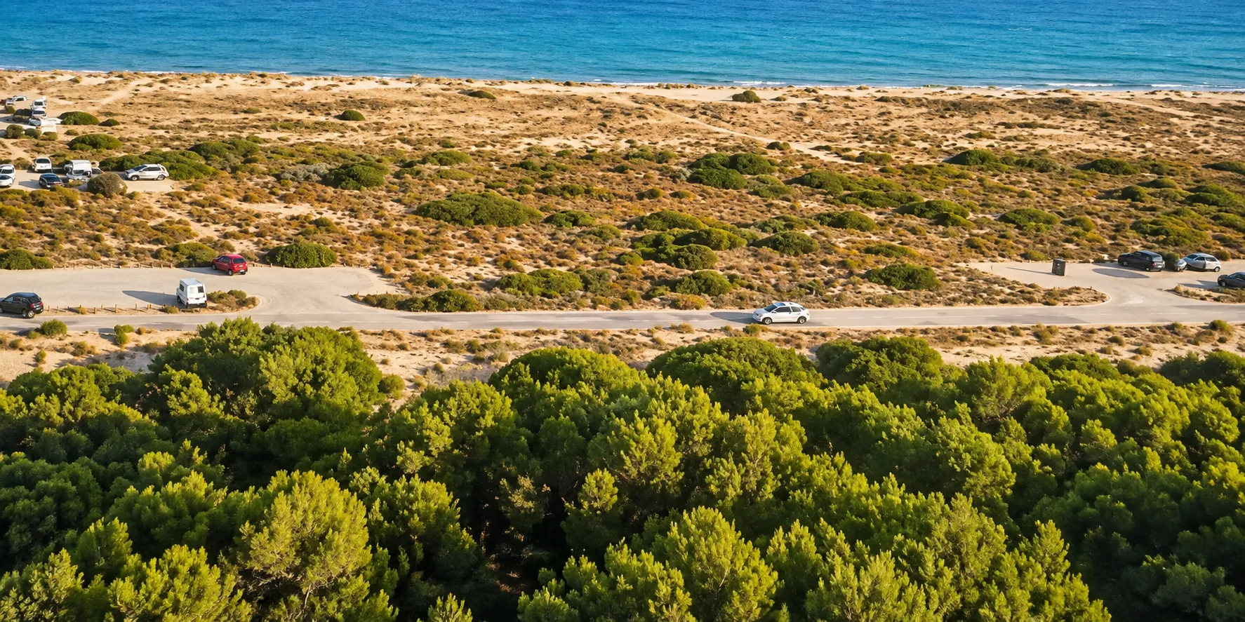 Pinar costero, dunas y mar, Penthouse en la Albufera Valencia